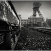 16248005