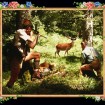 "Home Sweet Home" von Anne-Marie Sarosdy "Home Sweet Home" von Anne-Marie Sarosdy