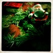 xmas-greets-by-hipstamatic6