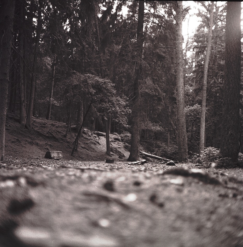 Höllenschlucht