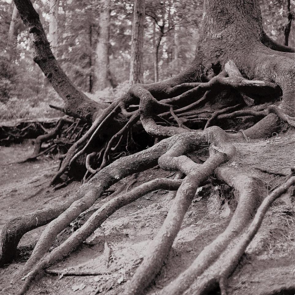 Höllenschlucht