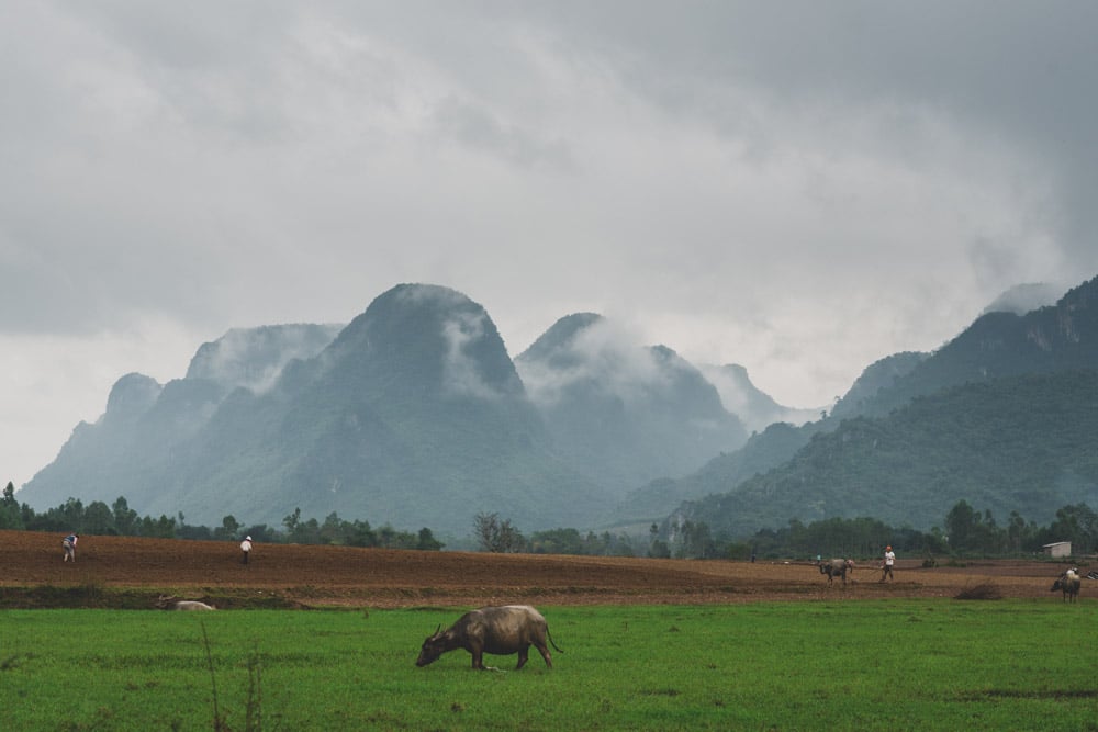 stilpirat-vietnam-phong-nha-10