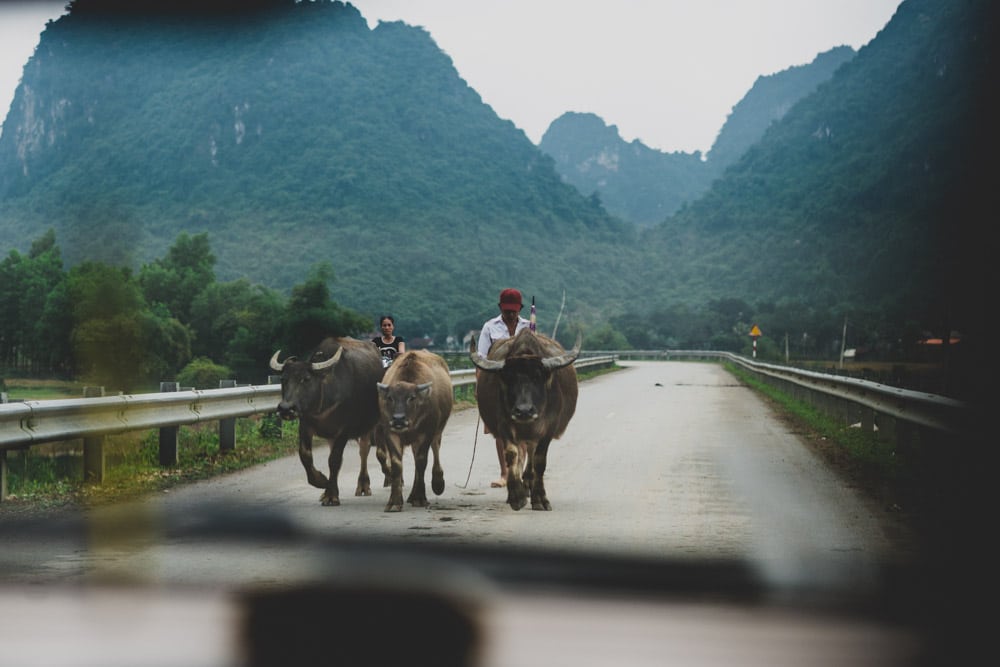 stilpirat-vietnam-phong-nha-12