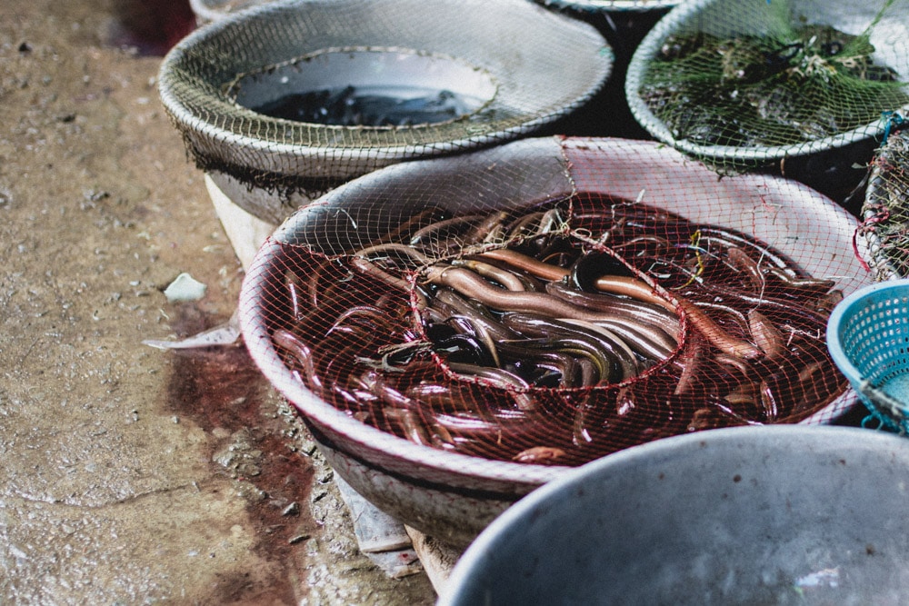 stilpirat-vietnam-horror-food-9